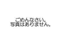 ʐ^